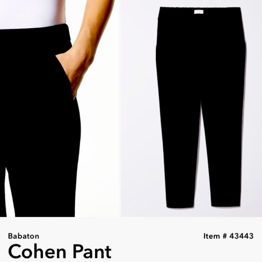 Aritzia Babaton cohen pant